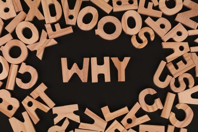 Best Website Design Agency in Noida — Why Local Beats Big