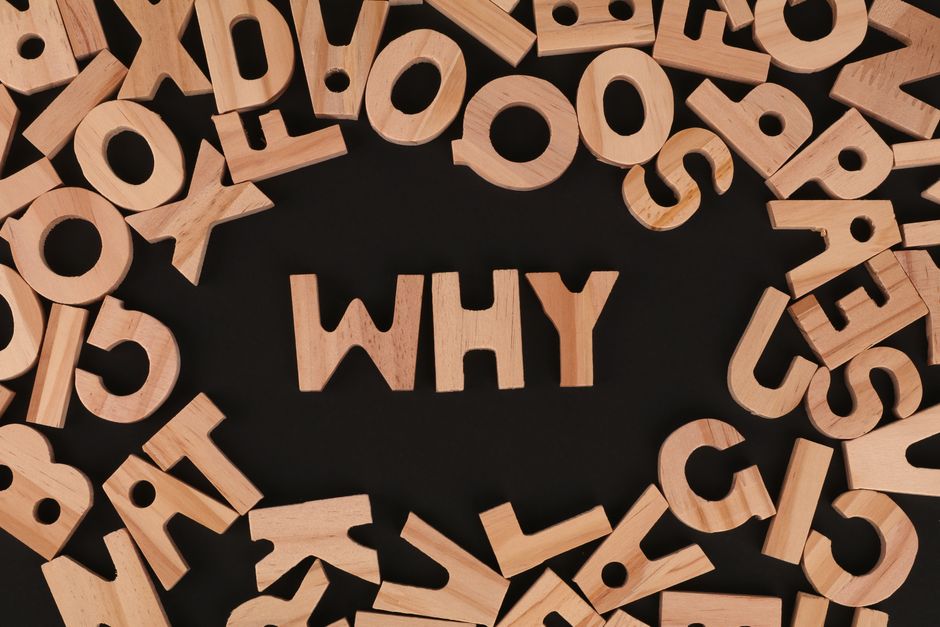 Best Website Design Agency in Noida — Why Local Beats Big